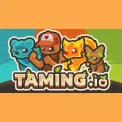 Taming.io